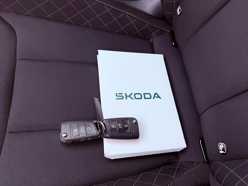 Škoda Kamiq 1.5 TSi Fresh DSG, ČR, 1.Maj - fotka 28 z 30