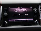 Škoda Kodiaq (2019) 2.0TDi 4x4, ČR, Ambition - náhled 19