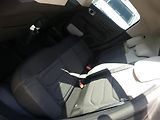 Citroën C3 (2024) 1,2 PureTech 110 MAN6 SHINE+ - náhled 9