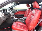 Ford Mustang 4,6 GT 224kW Racing USA - náhled 10