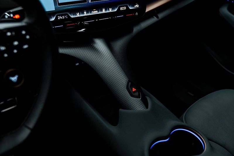 Cupra Tavascan Extreme - fotka 11 z 31