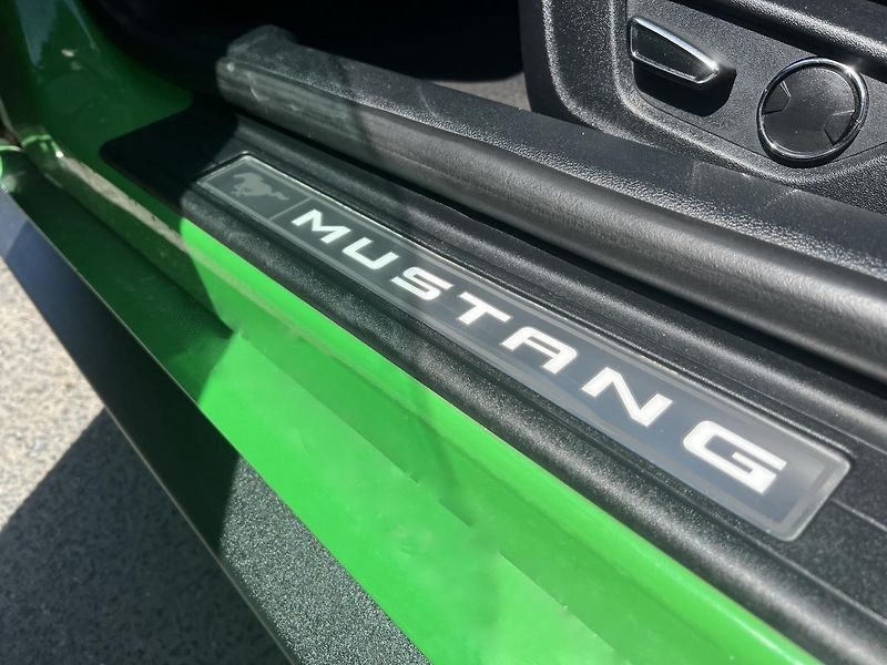 Ford Mustang (2018) GT Supercharger 5.0 V8, 750HP - fotka 31 z 48