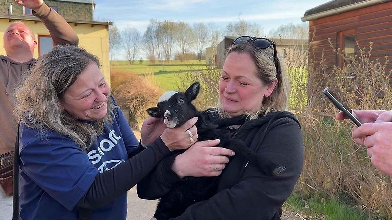 Malá auta, velká srdce. Smarťáci navštívili jarní Vlašim a adoptovali mývala