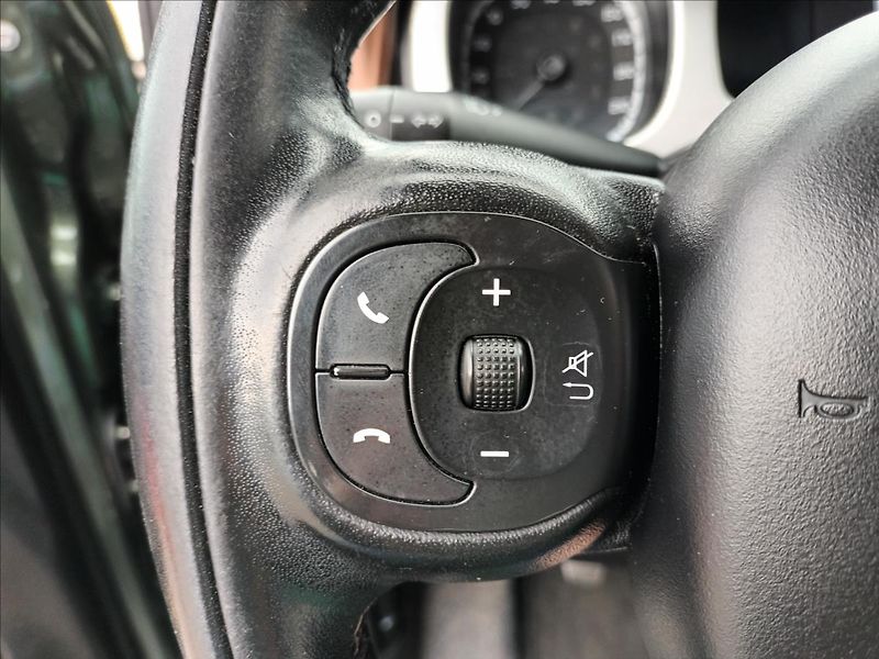 Fiat Panda 1,3 JTD,70KW,4X4,KLIMA  CROSS - fotka 29 z 43
