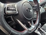 Kia Pro_Ceed (2021) 1.6-GT-DPH-V ZÁRUCE-AUTOMAT - náhled 14