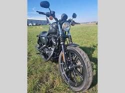 Harley-Davidson XL 883N Sportster Iron