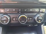 Škoda Octavia (2014) 2.0 TDi, ČR, Navi, bixen - náhled 17