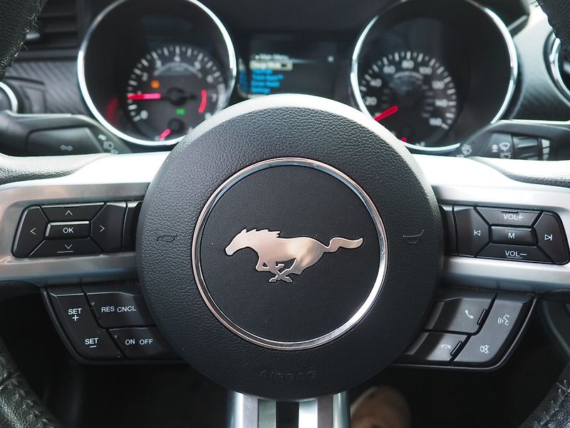 Ford Mustang (2015) 3.7i, 224kW, Manuál - fotka 17 z 27
