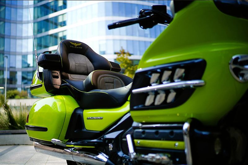 Honda GL 1800 Gold Wing Mamba Green - fotka 4 z 47