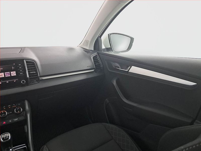 Škoda Karoq (2019) Ambition 2.0 TDI, Navi - fotka 8 z 19