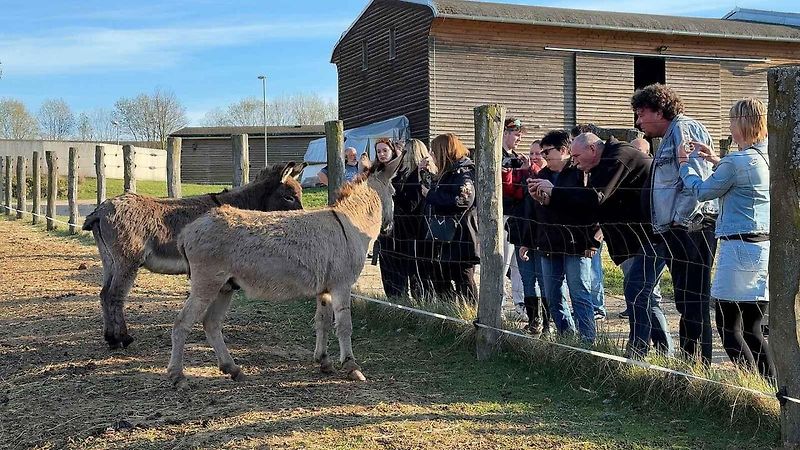 Malá auta, velká srdce. Smarťáci navštívili jarní Vlašim a adoptovali mývala