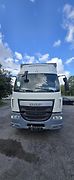 DAF LF (2016) Daf LF 310 - fotografie inzerátu