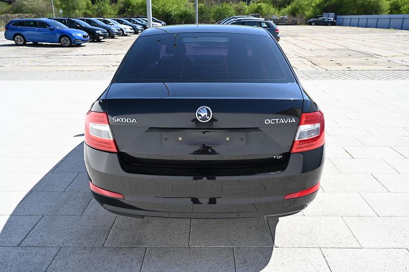 Škoda Octavia 1.6TDI 77KW Ambition rezervace - fotka 6 z 49