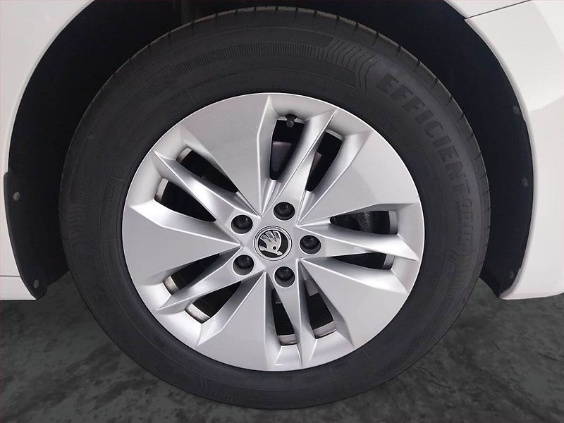 Škoda Octavia (2022) Ambition 2.0 TDI - fotka 15 z 20