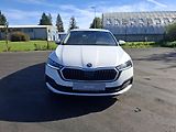 Škoda Octavia (2021) III kombi CLEVER 2.0TDi 110kW - náhled 1