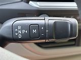 Volkswagen Transporter (2025) 2.0 TDI 4Motion DSG - náhled 13