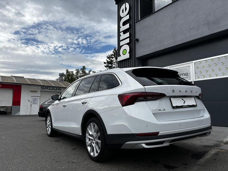 Škoda Octavia (2023)  Combi Scout 2.0 TDI (147 kW)  - fotka 4 z 14