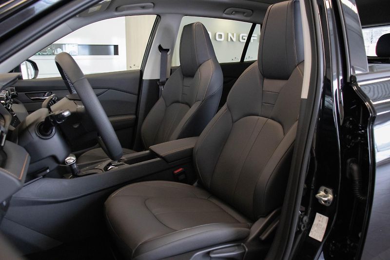 Dongfeng SHINE (2026) GS - fotka 14 z 18