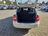Škoda Fabia (2010) KOMBI 1.6 TDI - náhled 14