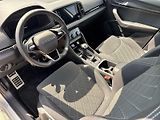 Škoda Karoq (2025) 2.0 TDI 4x4 DSG Sportline - náhled 7