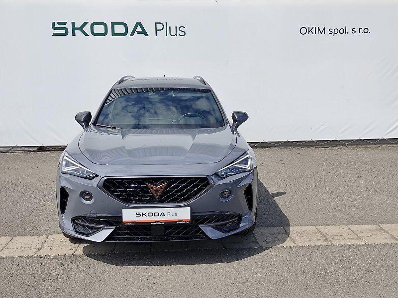 Cupra Formentor (2021) 2,0 tsi 140 Kw DSG 4Drive - fotka 4 z 39