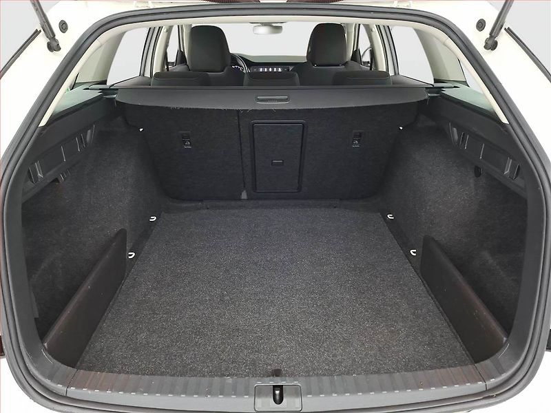 Škoda Octavia (2021) 2.0 TDI, Tempomat - fotka 13 z 17