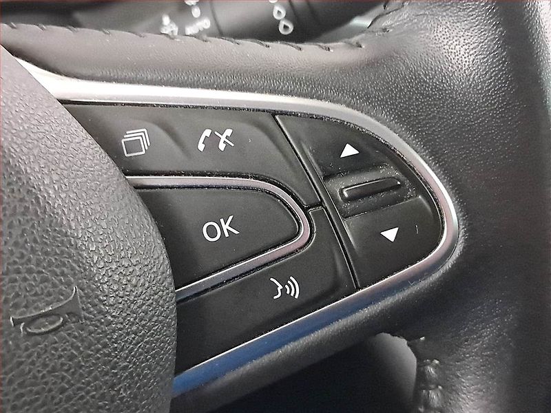 Renault Mégane (2019) Limited 1.5 Blue dCi, ČR,1.maj - fotka 18 z 21