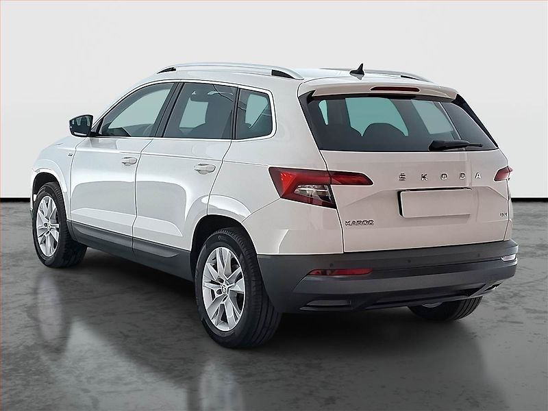 Škoda Karoq (2020) 2.0 TDI - fotka 4 z 19