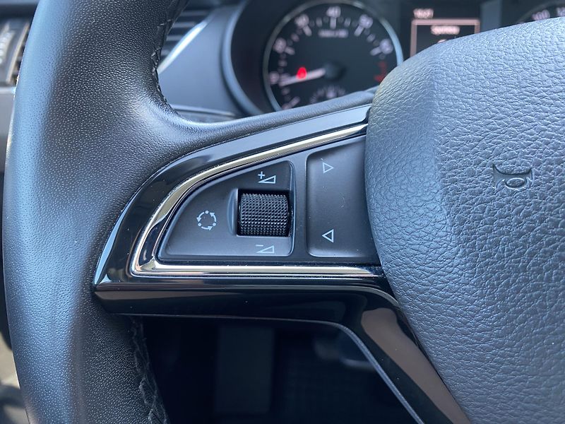 Škoda Octavia 1.4 TSI 103kW - 1xMAJ.-ALU-PDC - fotka 19 z 42