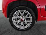 Fiat Panda (2020) City Life 1.2, ČR,1.maj - náhled 14