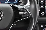 Škoda Kodiaq 2.0 TDI 110 DSG*TAŽNÉ*WEBASTO* - náhled 19