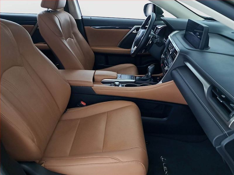 Lexus RX 400h (2022) 300 AWD - fotka 9 z 24