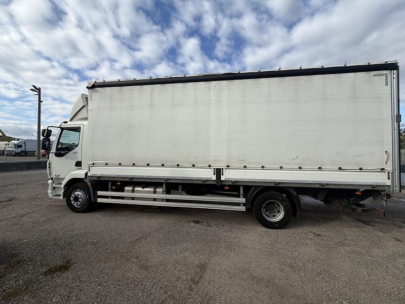 DAF LF (2019) LF 260 L shrnovačka L 18 pal. - fotka 3 z 23