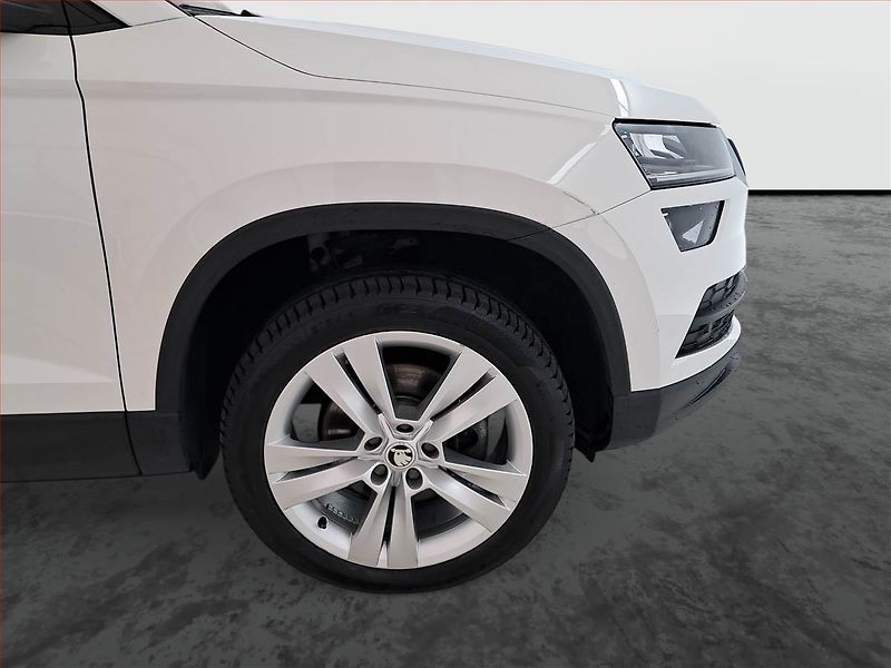 Škoda Karoq (2018) Style 1.6 TDI, Tempomat - fotka 15 z 18