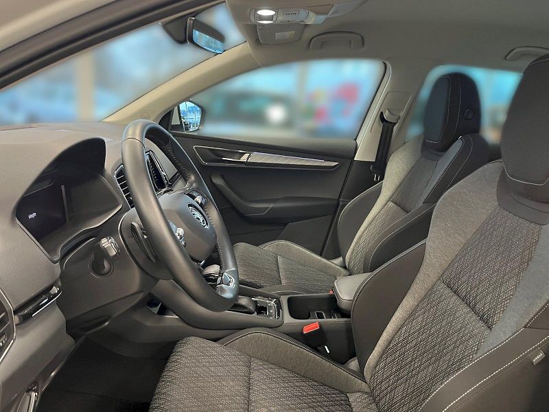 Škoda Karoq (2024) TOP SELECTION 2.0 TDI 4x4 110 - fotka 22 z 33
