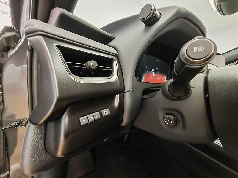 Lexus UX 300h 300h 4x2 F Sport Design - fotka 28 z 40