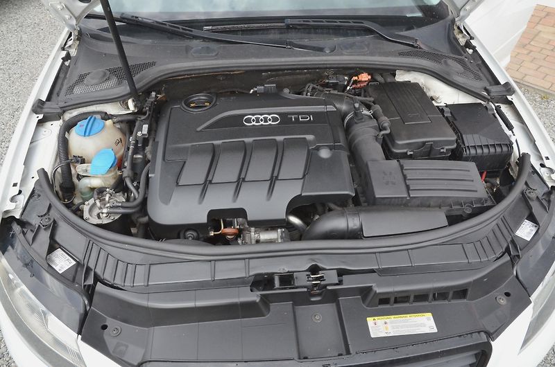 Audi A3 (2009) 2.0 TDi 103kW DSG PANORAMA - fotka 10 z 31