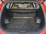Hyundai Santa Fe (2021) Style Prem 2.2CRDi 4x4 A/T 148 - náhled 29
