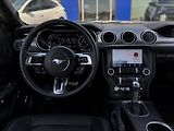 Ford Mustang 5,0 GT V8 330kW 55YearsEdition - náhled 17