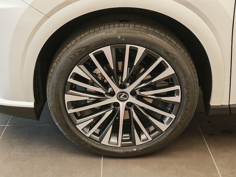 Lexus RX 350h Executive Plus - fotka 9 z 49