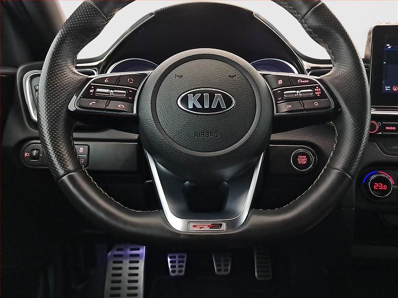 Kia Pro_Ceed (2019) GT-Line 1.4 T-GDI, Serv.kniha - fotka 19 z 19