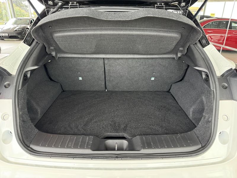 Nissan Juke 1,0DIG-T 117*AUT*TEKNA*Tažné - fotka 35 z 38