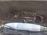 Peugeot 308 SW 1,6 1UK2639 - náhled 17