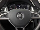 Škoda Rapid (2017) Ambition 1.2 TSI, Serv.kniha - náhled 13