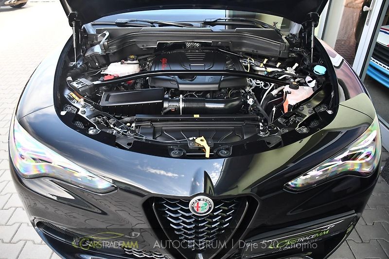 Alfa Romeo Stelvio 2.0T 16V 206kW VELOCE AT8 Q4 - fotka 45 z 49