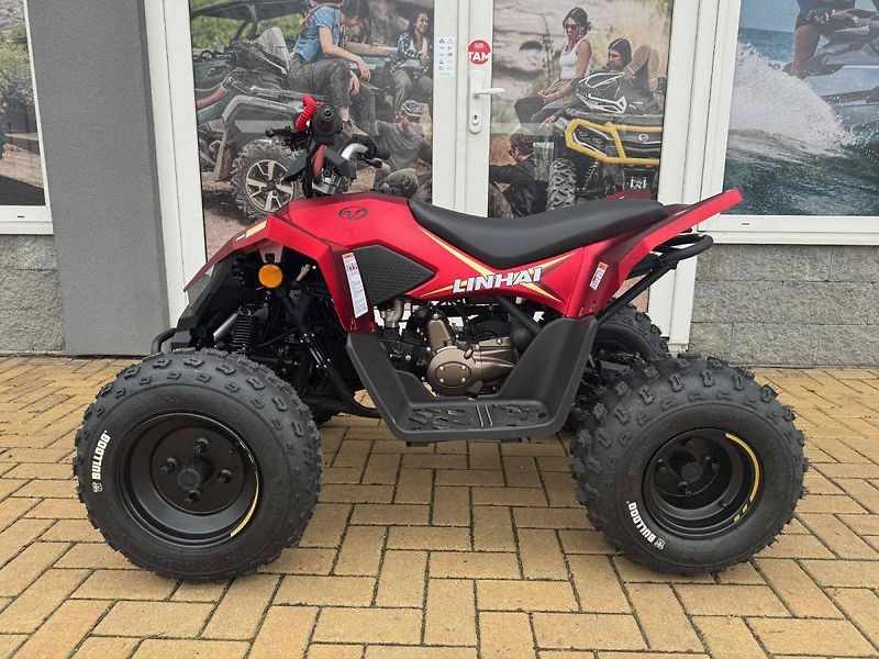 Linhai (2026) ATV 110 - fotka 6 z 6