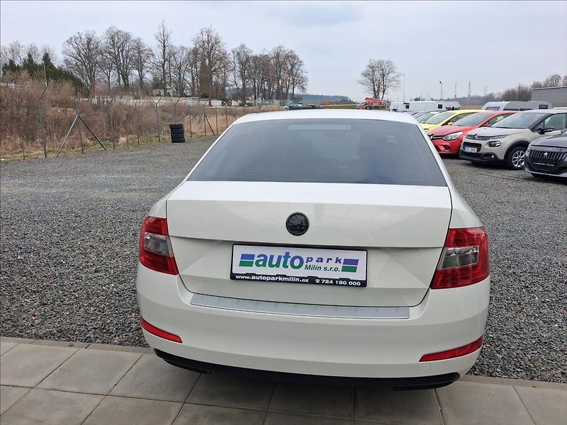 Škoda Octavia 1,6 1.6 TDi, po servisu, DPH - fotka 6 z 14