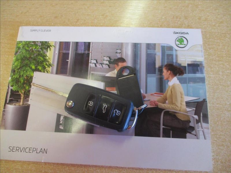 Škoda Octavia 1,4 TSi, Navi,aut.klima,servis - fotka 33 z 45