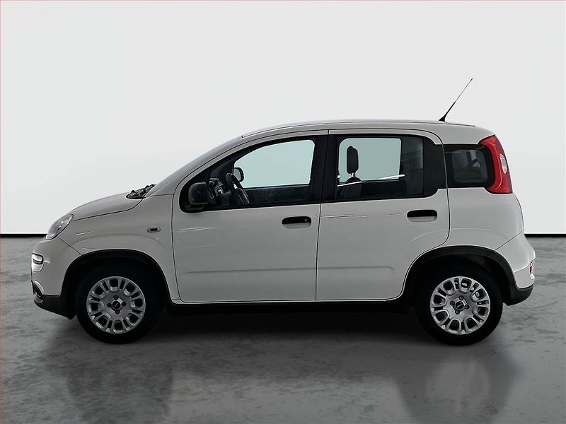Fiat Panda (2023) 1.0 FireFly, ČR,1.maj - fotka 3 z 14
