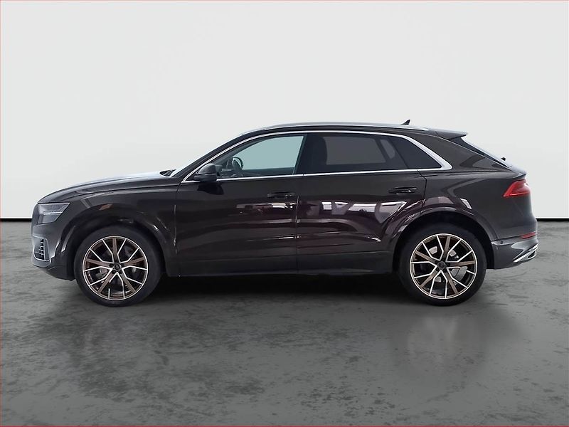Audi Q8 (2019) 50 TDI - fotka 3 z 21